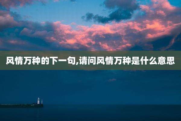 风情万种的下一句,请问风情万种是什么意思