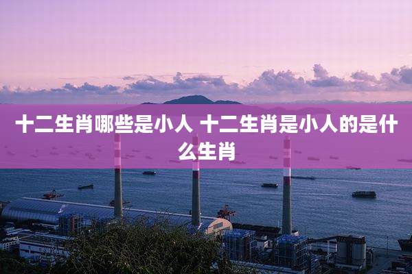 十二生肖哪些是小人 十二生肖是小人的是什么生肖