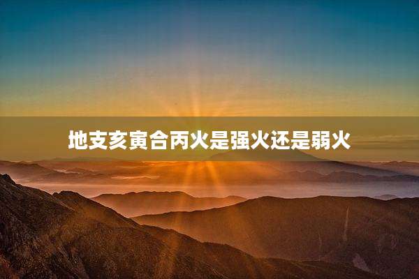 地支亥寅合丙火是强火还是弱火