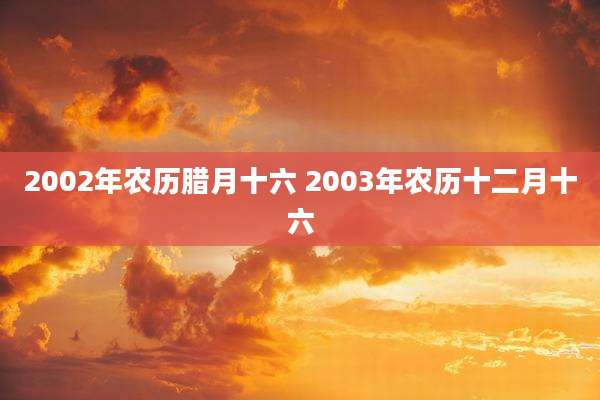 2002年农历腊月十六 2003年农历十二月十六