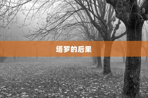 塔罗的后果
