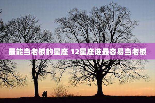 最能当老板的星座 12星座谁最容易当老板