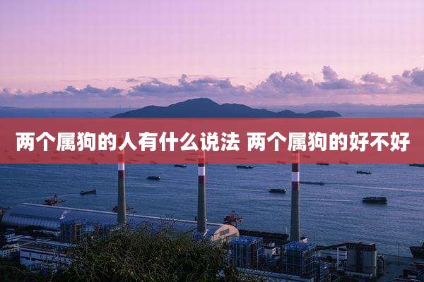 两个属狗的人有什么说法 两个属狗的好不好