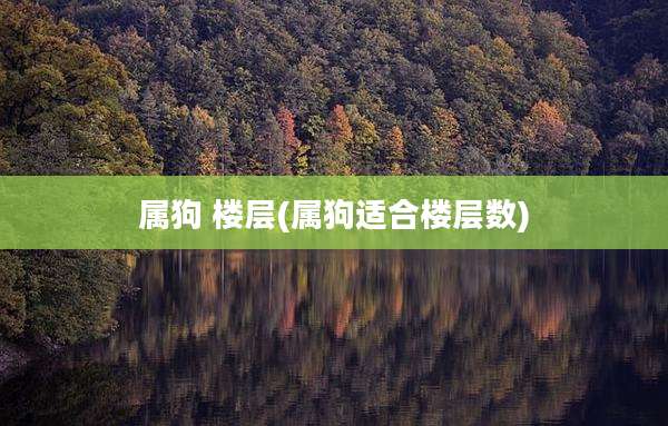 属狗 楼层(属狗适合楼层数)