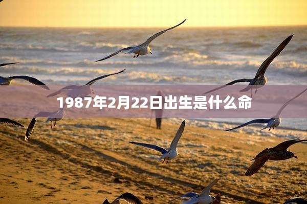 1987年2月22日出生是什么命
