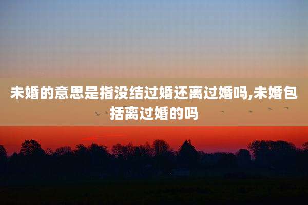 未婚的意思是指没结过婚还离过婚吗,未婚包括离过婚的吗
