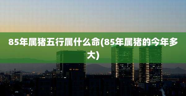 85年属猪五行属什么命(85年属猪的今年多大)