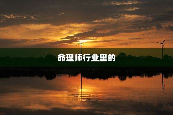 命理师行业里的