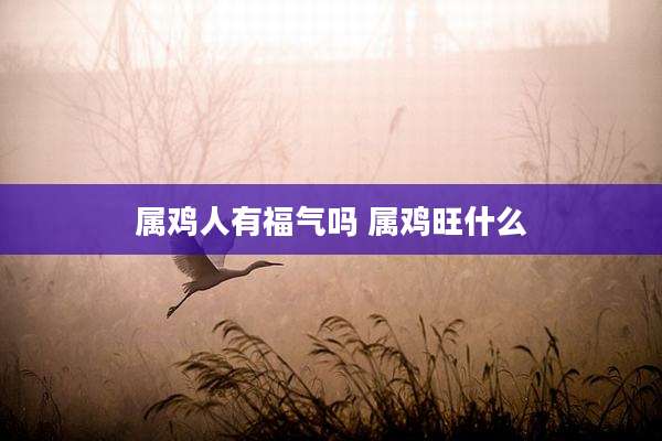 属鸡人有福气吗 属鸡旺什么