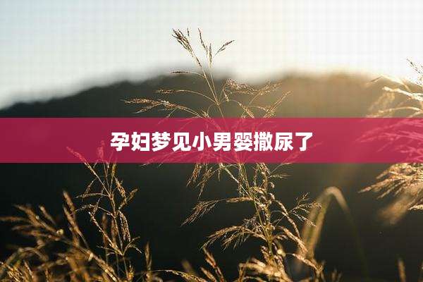 孕妇梦见小男婴撒尿了