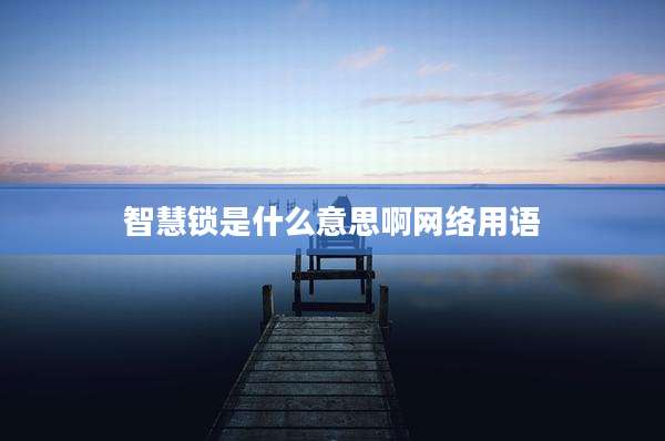 智慧锁是什么意思啊网络用语
