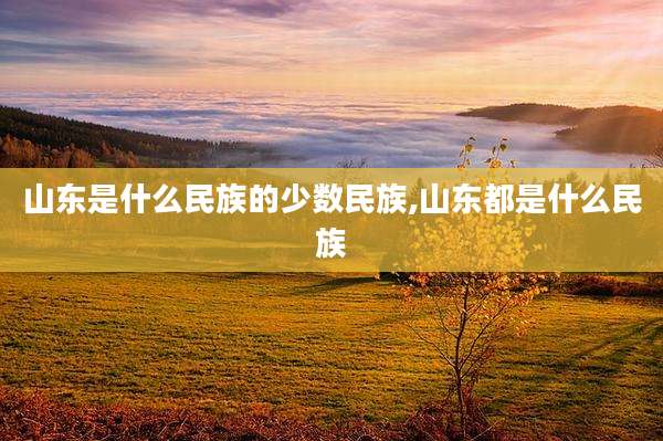 山东是什么民族的少数民族,山东都是什么民族