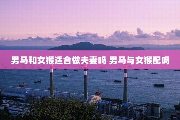 男马和女猴适合做夫妻吗 男马与女猴配吗