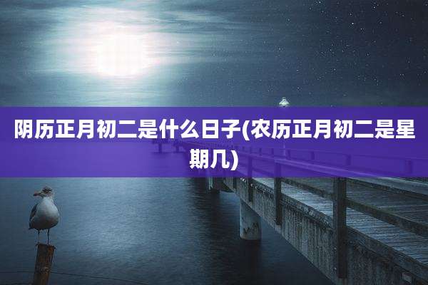 阴历正月初二是什么日子(农历正月初二是星期几)