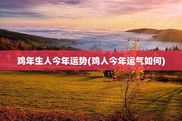 鸡年生人今年运势(鸡人今年运气如何)