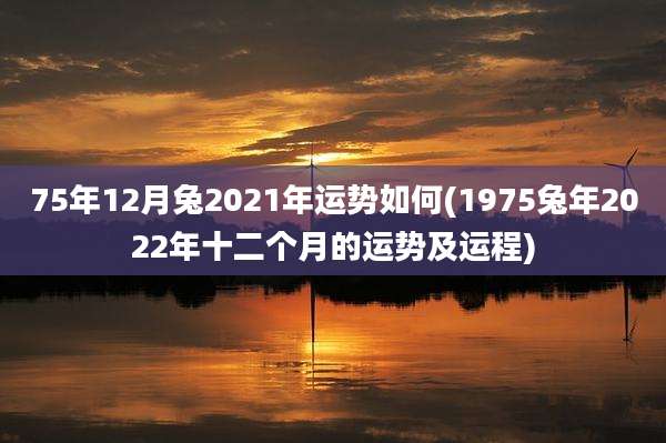 75年12月兔2021年运势如何(1975兔年2022年十二个月的运势及运程)