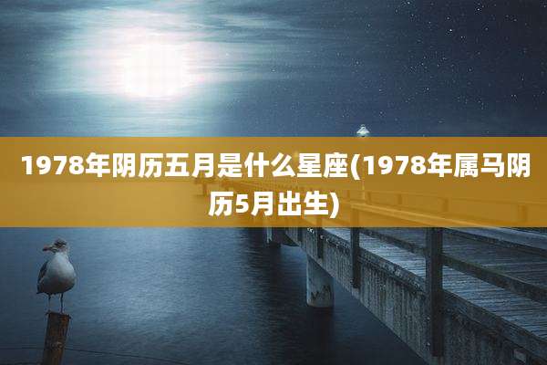 1978年阴历五月是什么星座(1978年属马阴历5月出生)