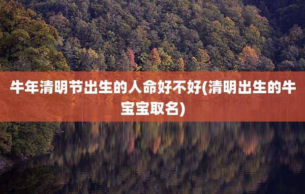 牛年清明节出生的人命好不好(清明出生的牛宝宝取名)