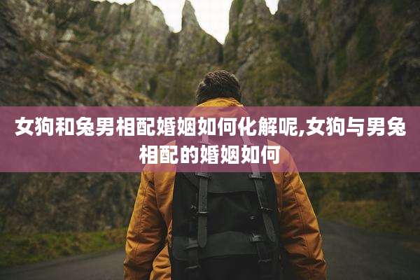 女狗和兔男相配婚姻如何化解呢,女狗与男兔相配的婚姻如何