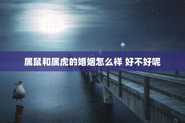 属鼠和属虎的婚姻怎么样 好不好呢