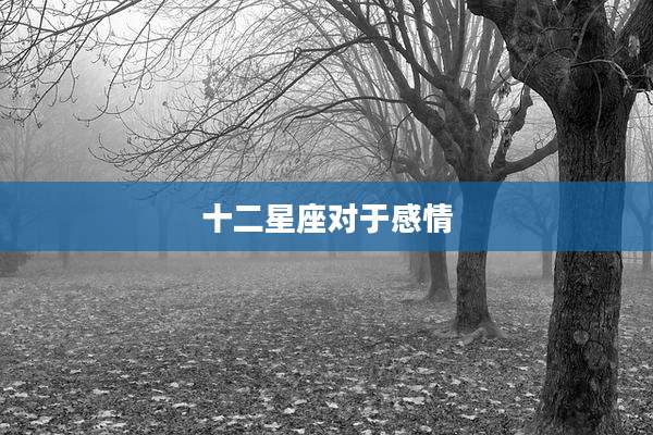 十二星座对于感情