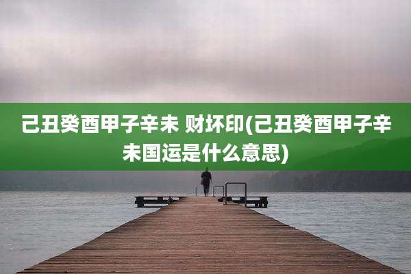 己丑癸酉甲子辛未 财坏印(己丑癸酉甲子辛未国运是什么意思)