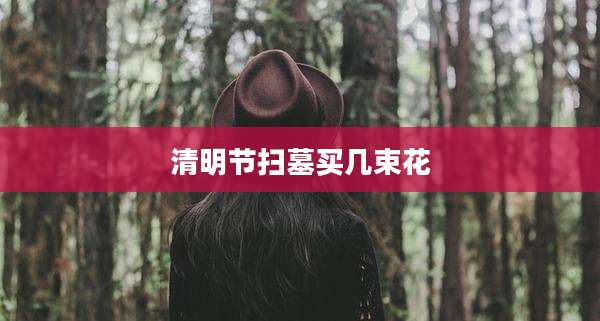 清明节扫墓买几束花