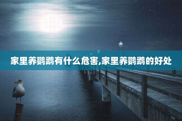 家里养鹦鹉有什么危害,家里养鹦鹉的好处