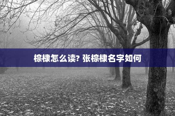 棕棣怎么读? 张棕棣名字如何