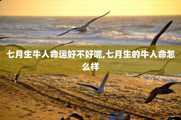 七月生牛人命运好不好呢,七月生的牛人命怎么样
