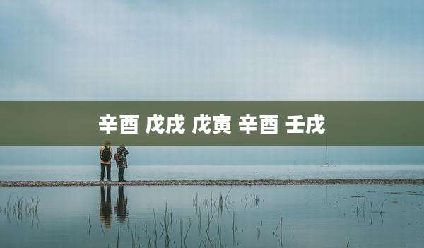 辛酉 戊戌 戊寅 辛酉 壬戌