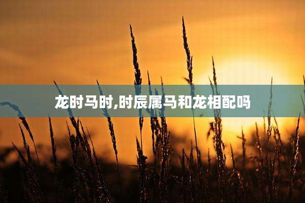 龙时马时,时辰属马和龙相配吗