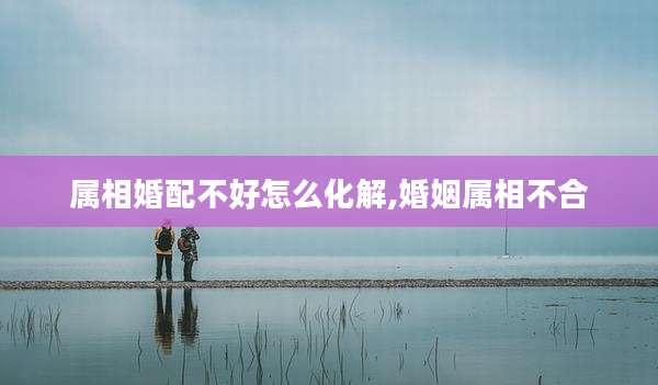 属相婚配不好怎么化解,婚姻属相不合