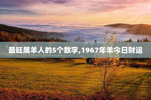 最旺属羊人的5个数字,1967年羊今日财运
