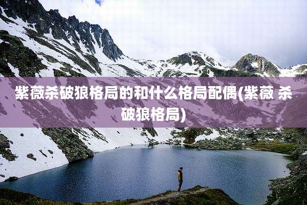 紫薇杀破狼格局的和什么格局配偶(紫薇 杀破狼格局)
