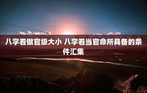 八字看做官级大小 八字看当官命所具备的条件汇集
