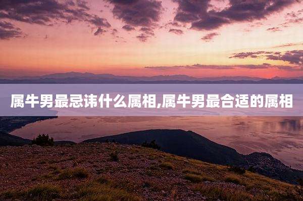 属牛男最忌讳什么属相,属牛男最合适的属相