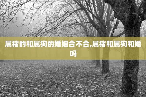 属猪的和属狗的婚姻合不合,属猪和属狗和婚吗