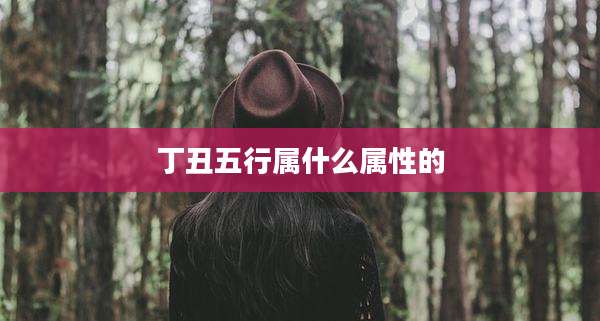丁丑五行属什么属性的