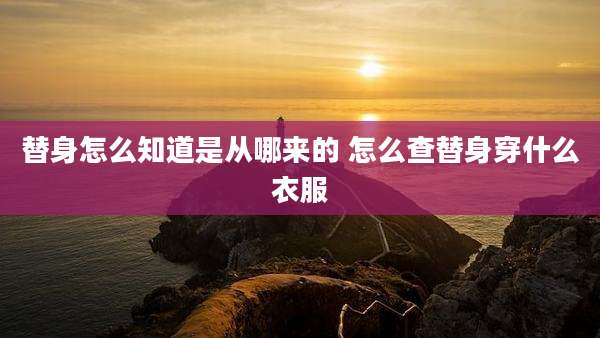 替身怎么知道是从哪来的 怎么查替身穿什么衣服