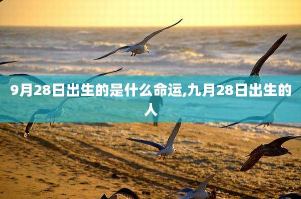 9月28日出生的是什么命运,九月28日出生的人