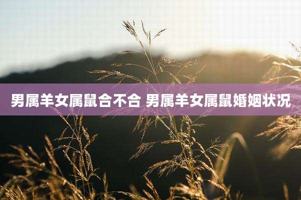 男属羊女属鼠合不合 男属羊女属鼠婚姻状况