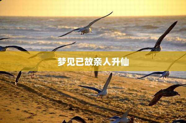 梦见已故亲人升仙