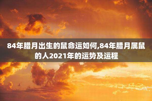 84年腊月出生的鼠命运如何,84年腊月属鼠的人2021年的运势及运程