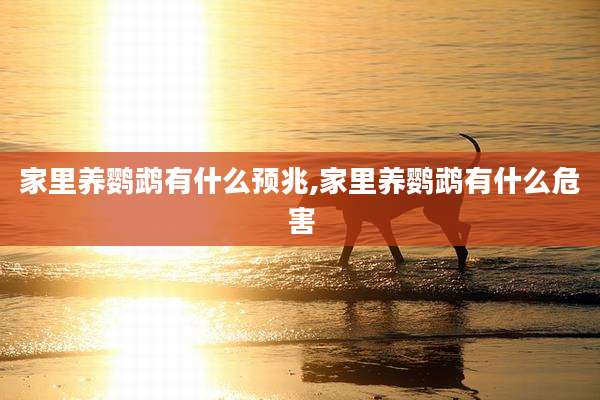 家里养鹦鹉有什么预兆,家里养鹦鹉有什么危害