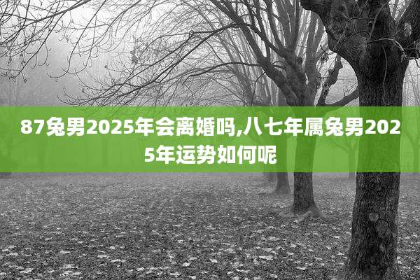 87兔男2025年会离婚吗,八七年属兔男2025年运势如何呢