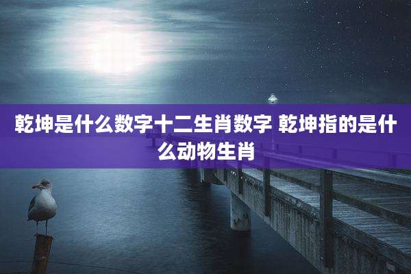 乾坤是什么数字十二生肖数字 乾坤指的是什么动物生肖