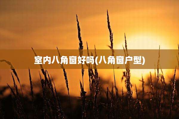 室内八角窗好吗(八角窗户型)