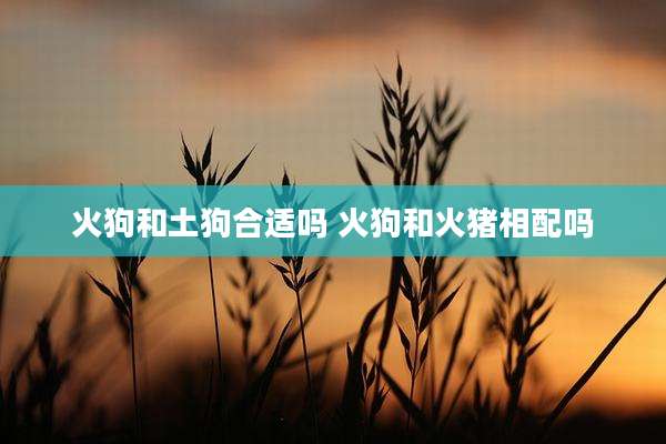 火狗和土狗合适吗 火狗和火猪相配吗