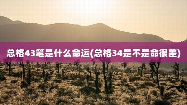 总格43笔是什么命运(总格34是不是命很差)